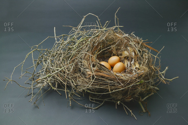 Three eggs in a bird's nest