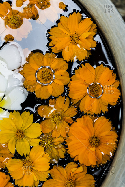 Two wedding rings on yellow flowers floating on water