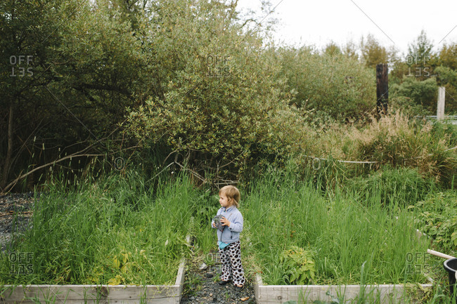 Girl standing at a community garden