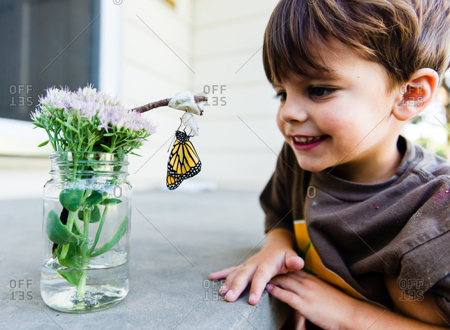 A boy examines a newly hatched butterfly