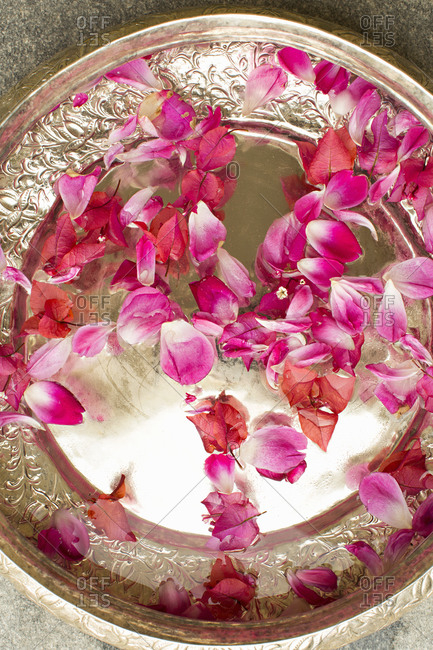 Top view of rose petals in water