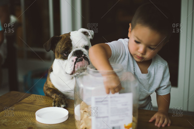 Dog watching a boy reaching into a cookie jar
