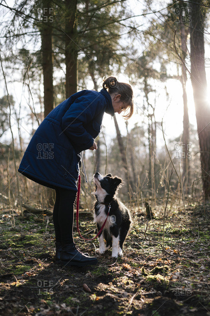 Woman with Border Collie
