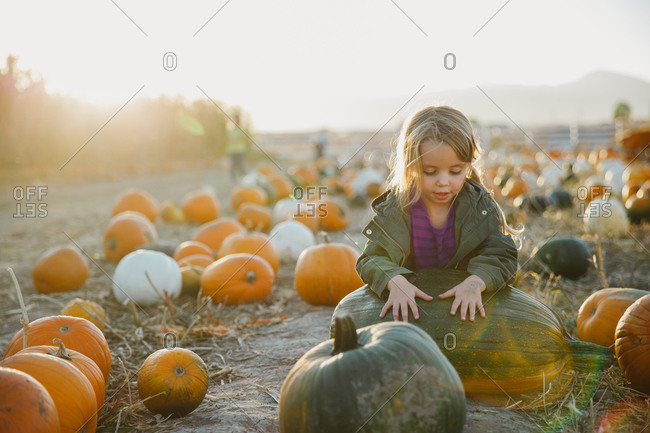 Young girl choosing a pumpkin for Halloween