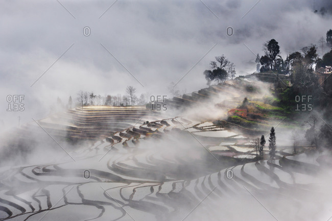 Fog on a terraced hillside, China