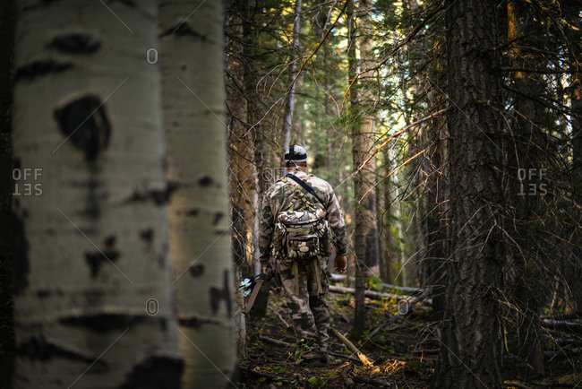 Bow-hunter walking through thick woods