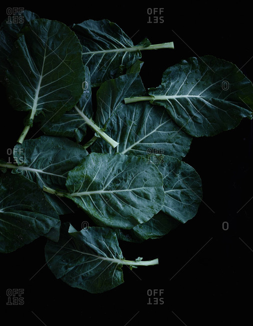 Close up of collard greens on dark background