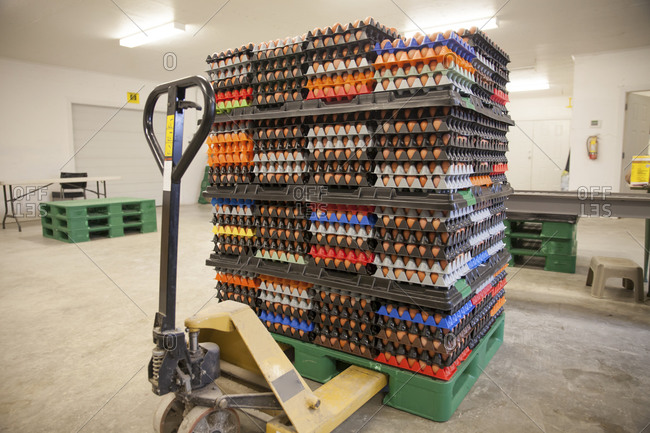 Hundreds of brown eggs stacked on a pallet at commercial poultry farm in British Columbia, Canada