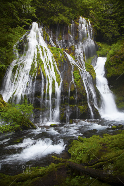 Landscape of Panther Creek Falls in Carson, Washington