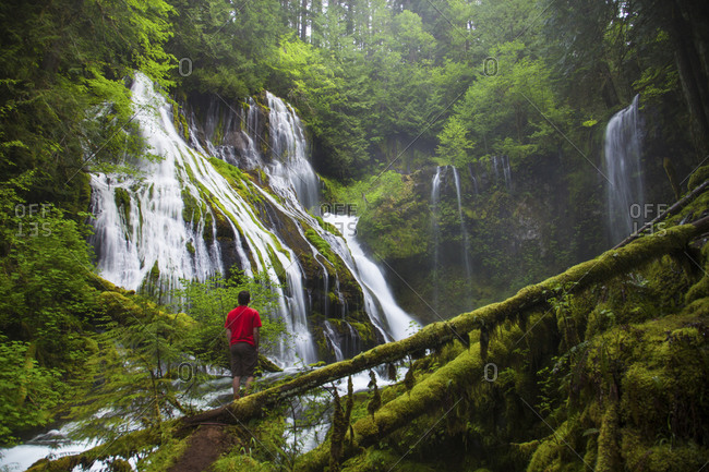 A hiker looks up at Panther Creek Falls, Washington, USA
