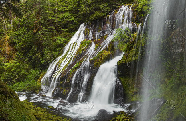 Several waterfalls cascade over a lush vegetated cliff at Panther Creek Falls in Carson, Washington