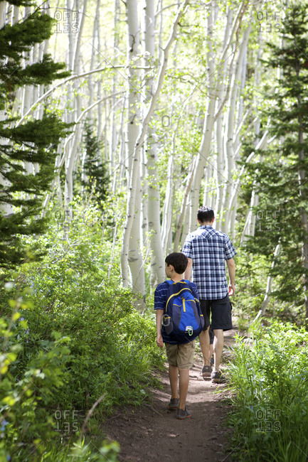 A father and son walk through birch forest