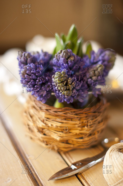 Purple flowers as decoration