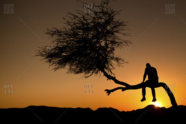 Man on tree backlit by orange sunset