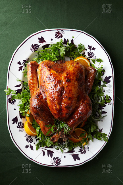 A roasted turkey presented over a bed of parsley