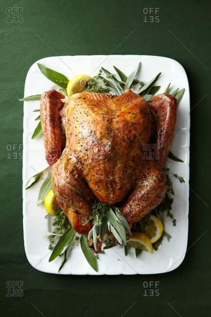 A roasted turkey presented over a bed of sage