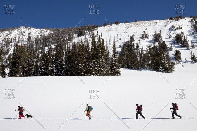 A group of four backcountry skiers ski in the Beehive Basin near Big Sky, Montana