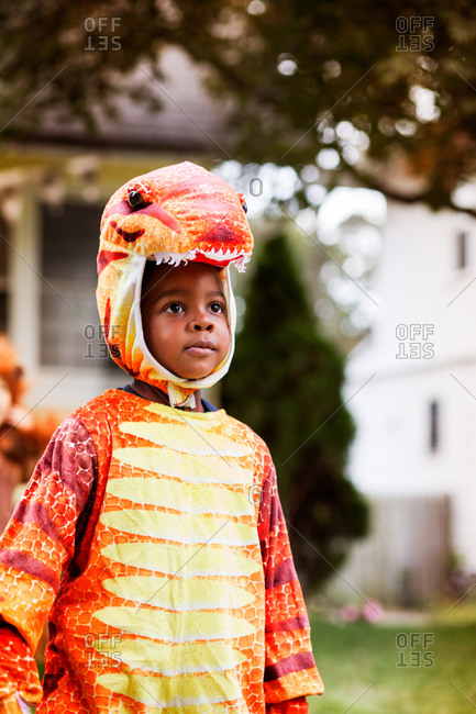 Boy in dinosaur costume