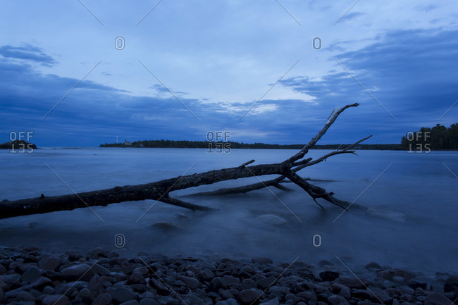 A tree trunk falls in the lake at Copper Harbor, Michigan