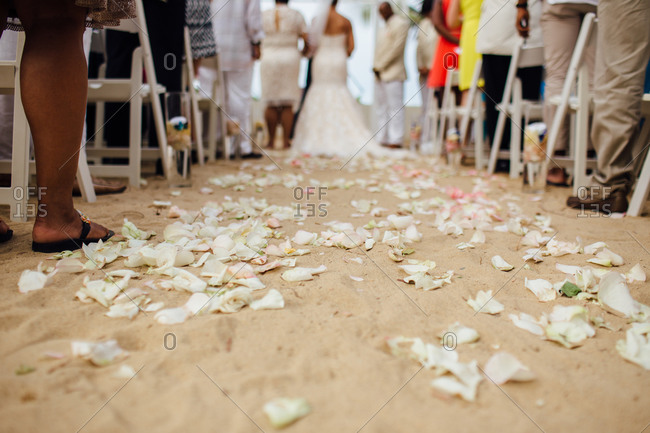 Rose petals on sandy wedding aisle