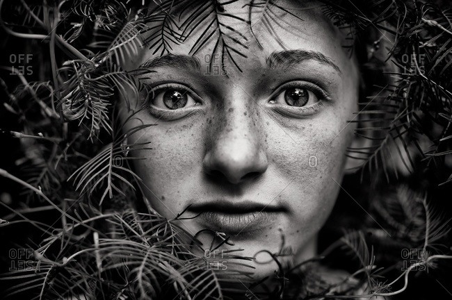 A girl peers through pine needles