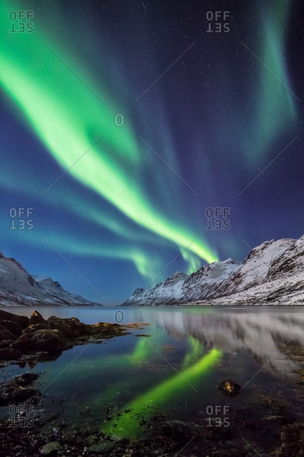 Northern Lights Reflected in the Water of a Norwegian Fjord in a Winter Night