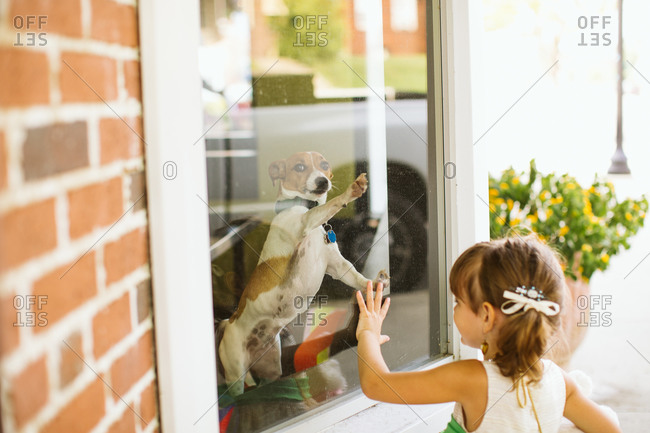 Girl looking at puppy in window