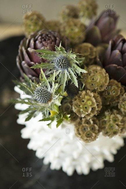 A bouquet of dark flowers including thistles and artichokes
