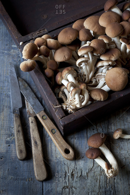 Mushrooms in vintage wooden box on rustic table with knives