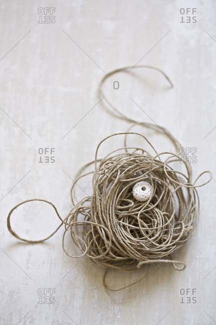 Twine and shell still life