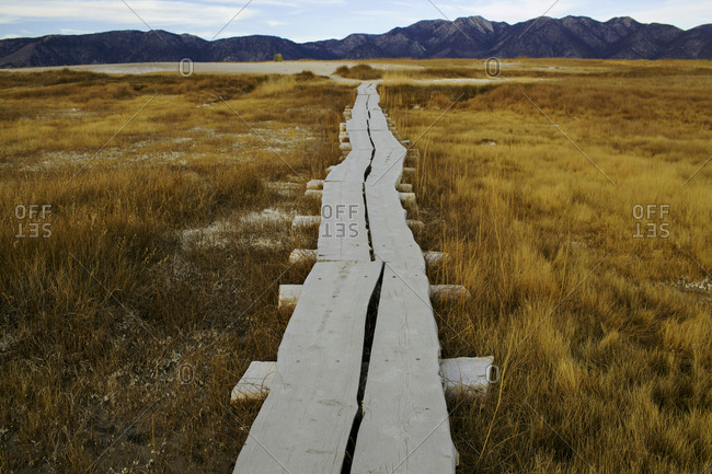 The plank leading the way to the Crab Cooker pool at Mammoth Hot Springs in Calif