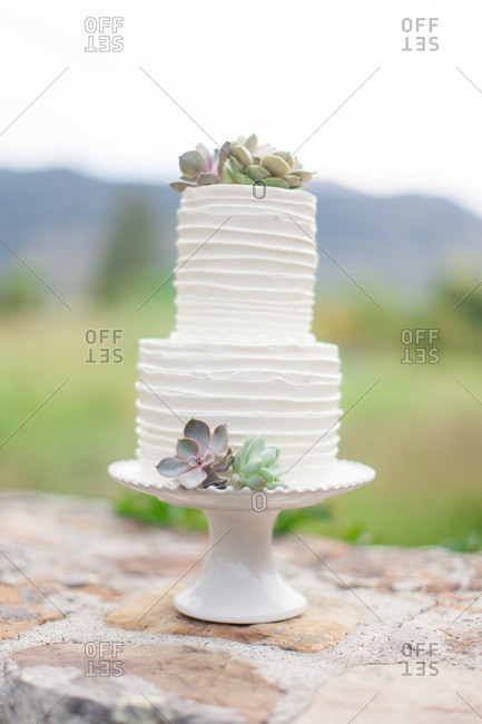 Wedding cake with succulent plants