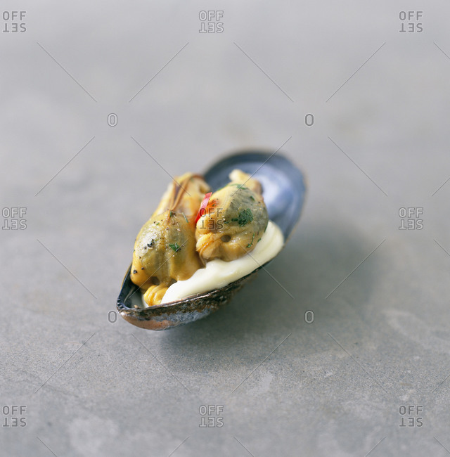 A starter in a clam shell