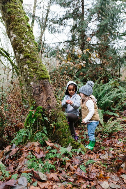 Two young girls examine a moss-covered tree in a misty forest