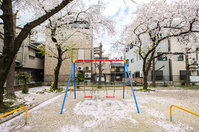 Playground covered with cherry blossom petals, Osaka, Japan