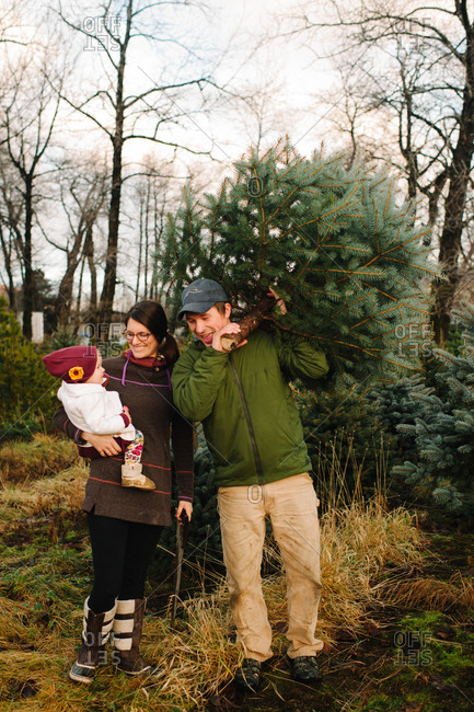 Family buying a Christmas tree at a pick-your-own farm