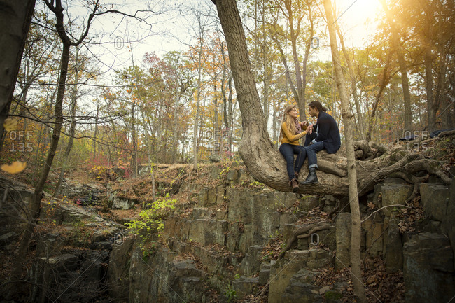 A couple sits on a bent tree trunk