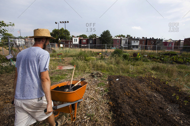 An urban farm in Washington DC, where farmers grow food for the community