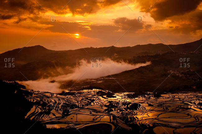 Rice terrace field at sunset in Yuanyang, Yunnan, China