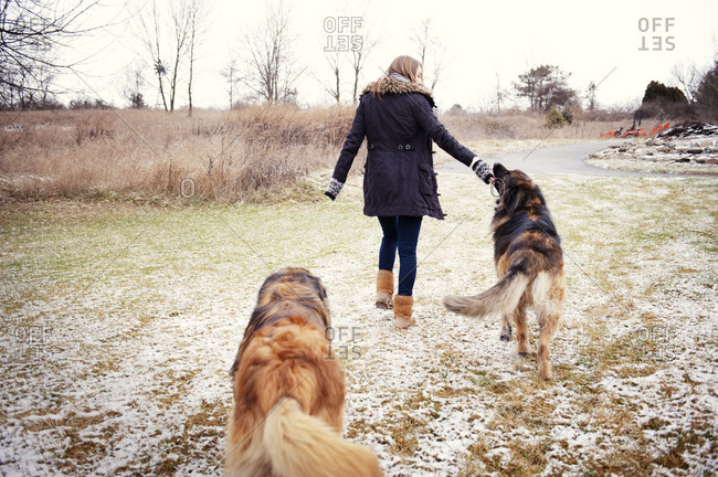 Back view of a young woman walking her dogs