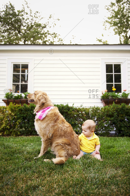 Baby with family dog in yard