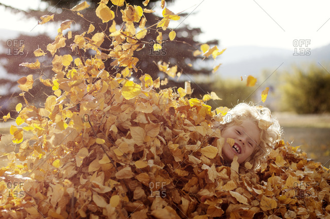 Young boy playing in leaf pile