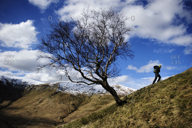 A hiker climbing a steep slope, a mountain landscape in the background at  The Loch Lomond & The Trossachs National Park, Scotland, UK