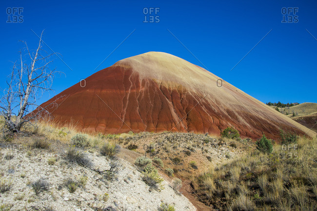 Multicolored strata hill in the Painted Hills unit in the John Day Fossil Beds National Monument, Oregon, United States of America, North America