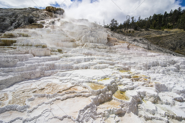Travertine terraces in Mammoth hot springs terraces, Yellowstone National Park, UNESCO World Heritage Site, Wyoming, United States of America, North America