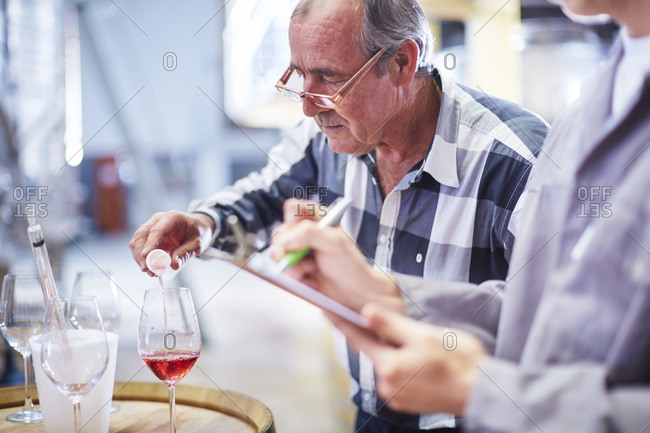 Wine maker testing wine blend
