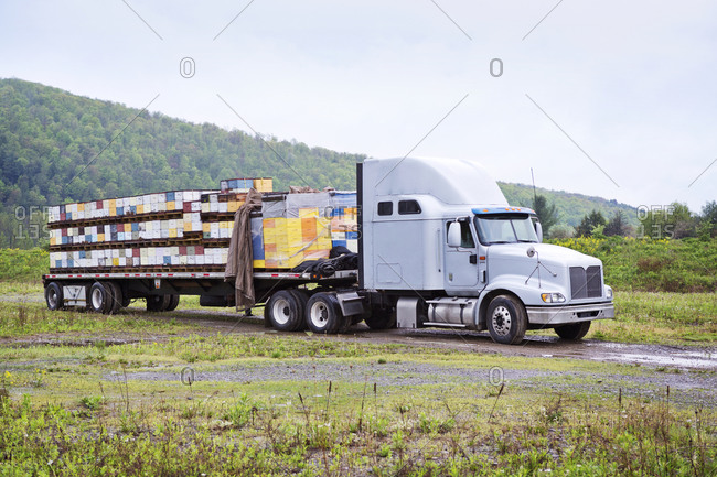 Semi-trailer truck carrying beehives