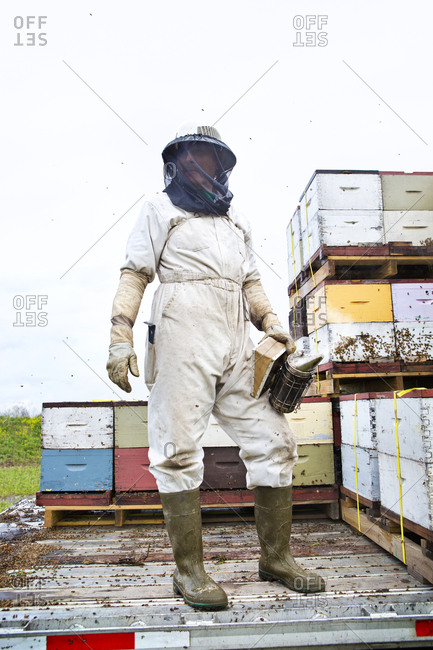 Beekeeper wearing mask and holding smoker
