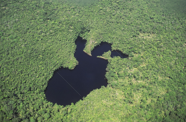 Lake in the middle of jungle seen from above