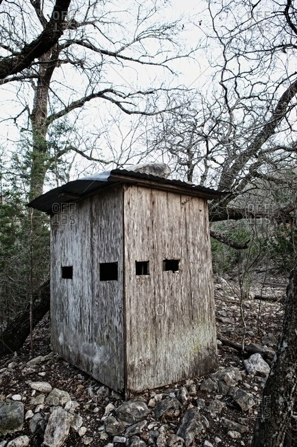 Hunting blind in a forest